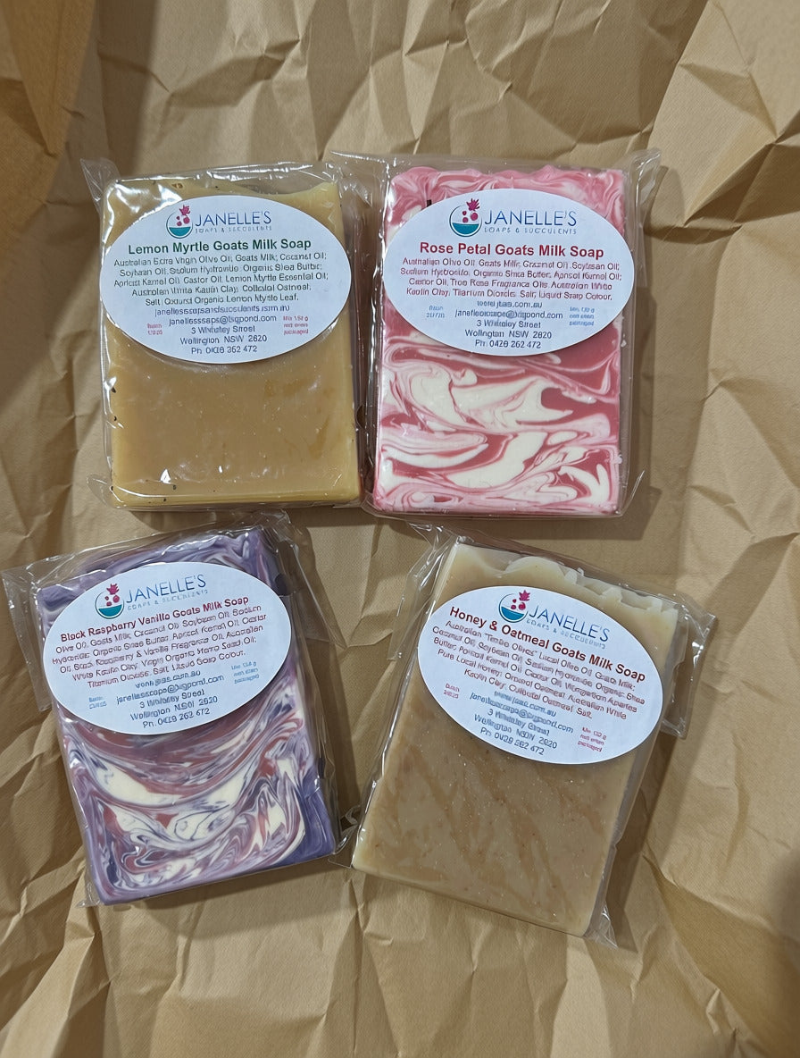 Janelle's Soaps & Succulents